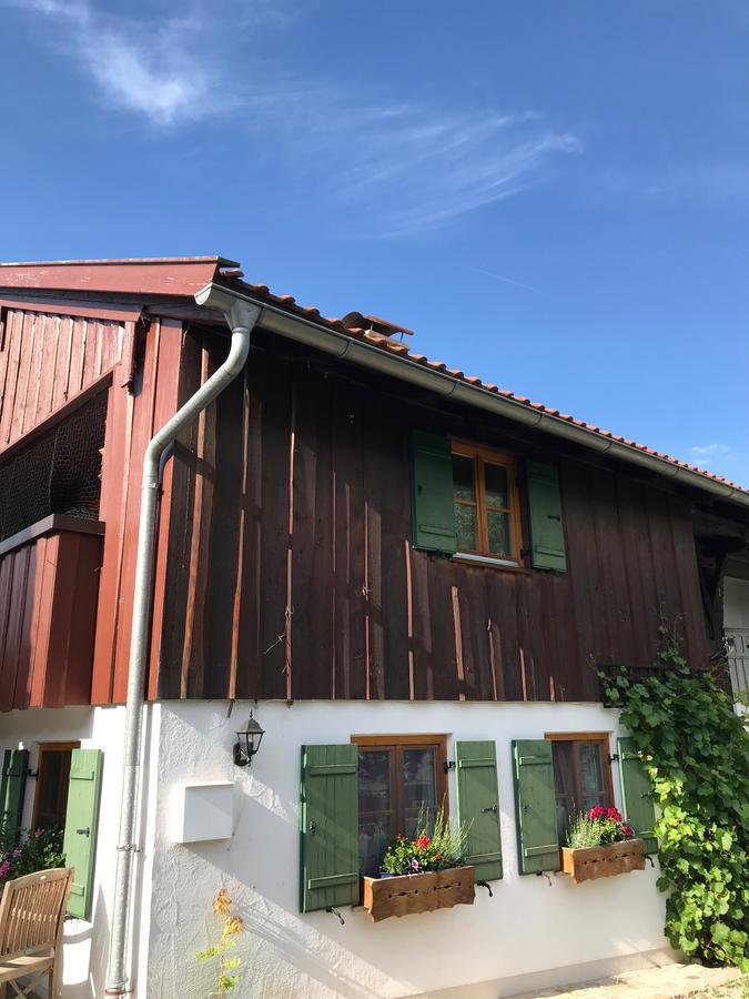 Chalet Alpenrose Schwangau Exterior photo